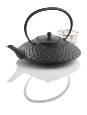 Yamaji Shogun Cast Iron Teapot